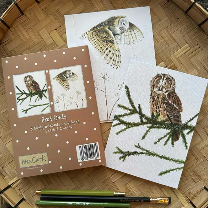 Owls Boxed Notecards